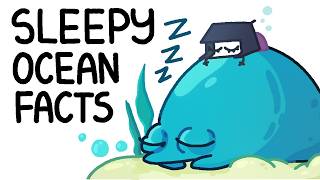 ocean facts to fall alseep to (but I made all of them up)