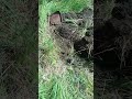 21 мая 2024 г.
