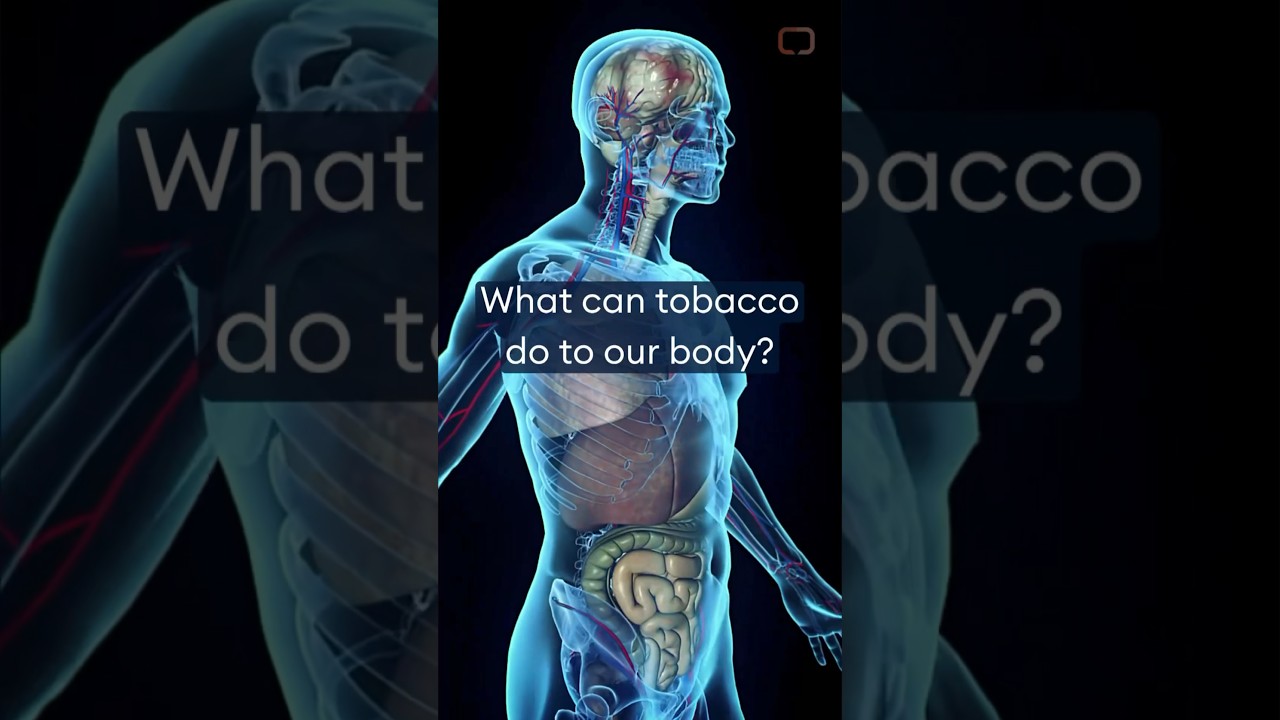 raising taxes on tobacco Raising taxes on tobacco isn't just policy—it's protection. Save lives,  reduce addiction, and boost national revenue at the same time.  #TobaccoControl #PublicHealth #SmartPolicy