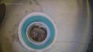 78 Elm Rd, Caldwell, NJ Sewer Inspection Video