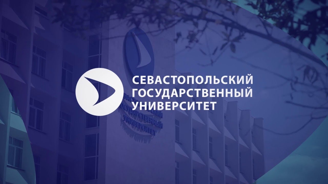 Внутренние гранты севгу