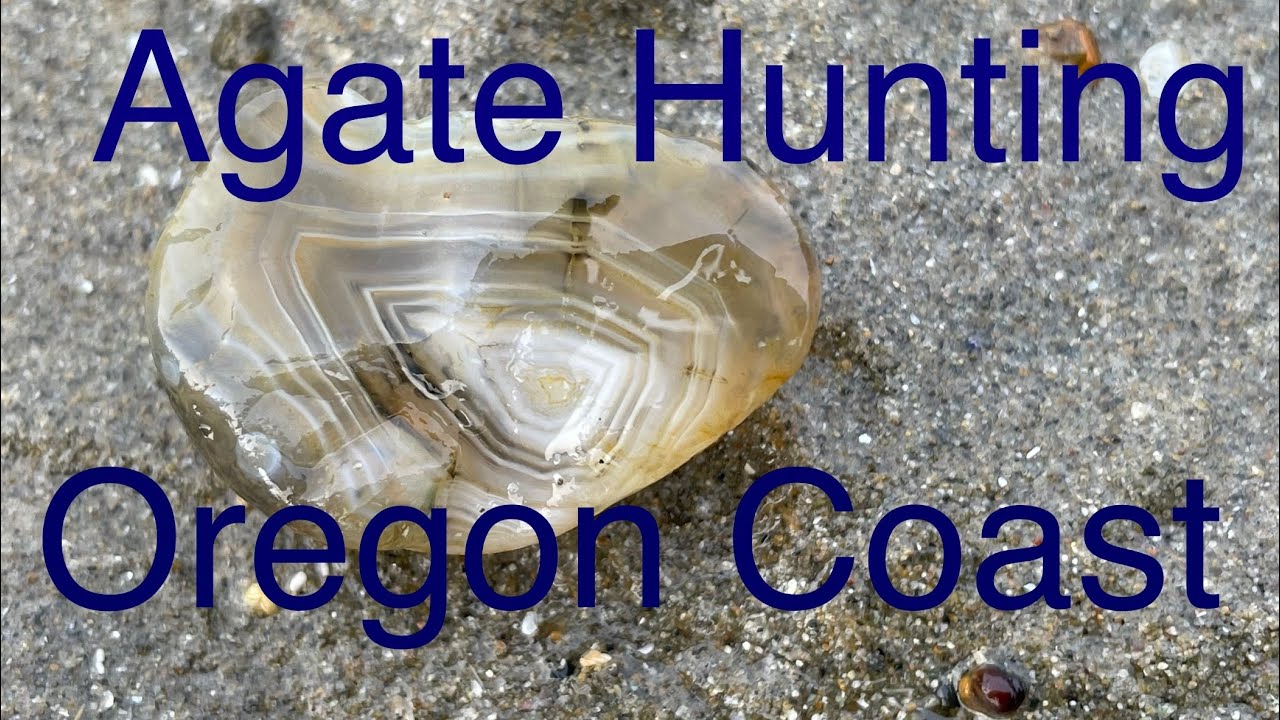 Agate Hunting on the Oregon Coast YouTube