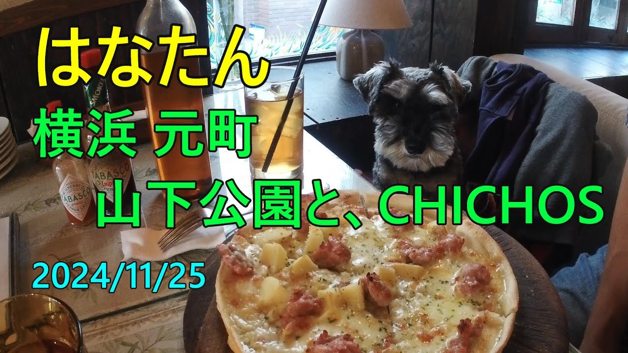 横浜 山下公園と、元町のCHICHOS(イタリアン)