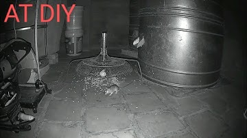 Quá trình tạo ra chiếc bẫy dùng để bẫy chuột hoang | Most effective wild mouse traps | Diy traps