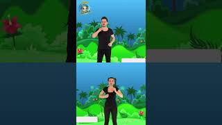 Kurbağa Fare Balık Kuş En Sevilen Şarkımız