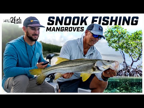 How to Fish for Snook | Inshore Boat Fishing Basics