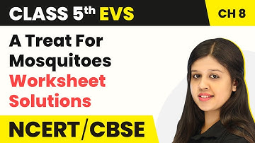 Class 5 EVS Chapter 8 |A Treat For Mosquitoes- Worksheet Solutions | Looking Around Book