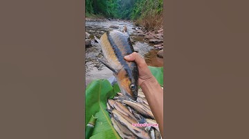 Gỏi Cá Suối Tây Bắc