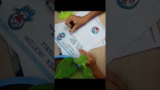 My Summer Vacation Timetable With Timings Full Day Timetable Routine