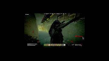 The Next Level of Dropshotting in DayZ 😂