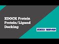 Bioinformatics zdock protein protein  ligand docking  biocode ltd