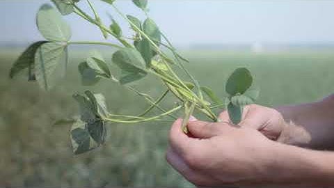 Right Rate - Soil Testing | 4R NUTRIENT STEWARDSHIP | Richardson Farms