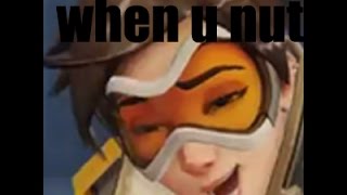 Overwatch funny moments I guess