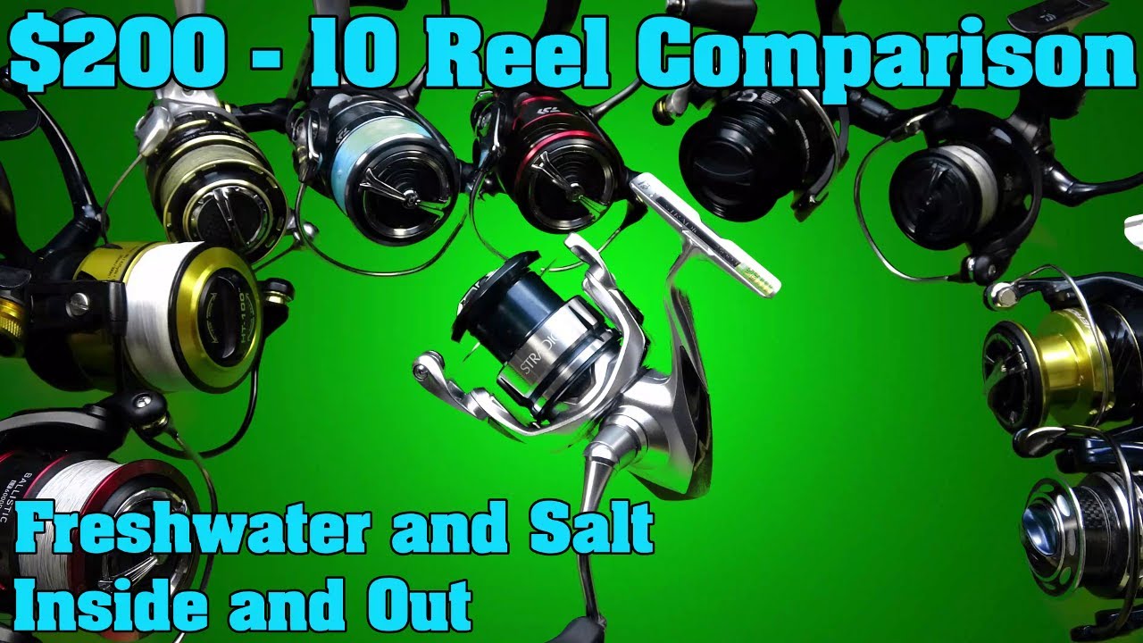 $200 Spinning reel buying guide. Teardown, comparison, and review