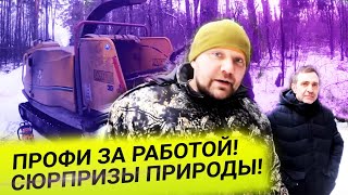 Профи за работой! Сюрпризы природы!