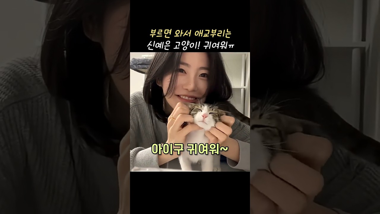 신예은 고양이 애교
