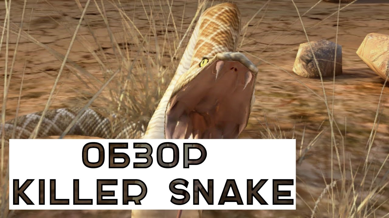 Обзор Killer Snake для iOS/Android YouTube