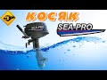 ЛОДОЧНЫЙ МОТОР-SEA PRO 9.8, БОЛЬШОЙ косяк 2020, ПОКУПАТЬ ЛИ?