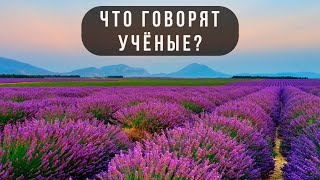 Крымская аграрная наука: итоги за 100 лет // Что говорят учёные?