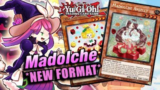 YU-GI-OH! *BEST* MADOLCHE DECK PROFILE! NEW FORMAT IN-DEPTH PROFILE! 2024