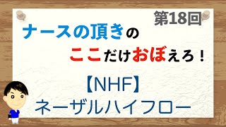 ここおぼ！【第18回】NHF：ネーザルハイフロー