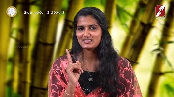 DOMUS CAT | STD 5 & 6 | CHAPTER 13 | PART 2 | SUNDAY CATECHISM