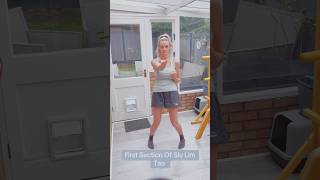 First Section of Siu Lim Tao, Wing Chun’s first form, also known as ‘the little idea’. 💡 #wingchun