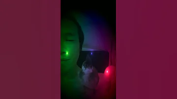 淺草妖姬 