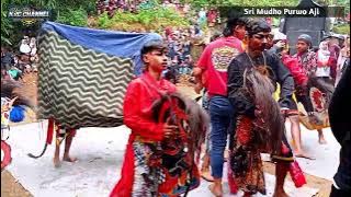 FULL JANTURAN EBEG SRI MUDHO PURWO AJI 🔴LIVE : PURWOSARI KARANGGAYAM KEBUMEN