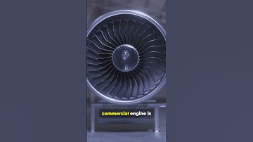 Bird Strikes vs. Jet Engines: Why They Rarely End in Disaster