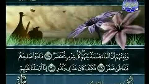 سورة القمر من الآية 28 الى الآية  55