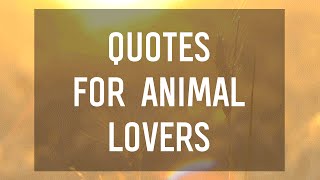 6 Quotes for Animal Lovers