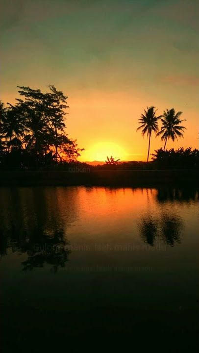 story wa terbaru 30 detik || cidro 3 || ancen rogo iki ora nggetih senajan tatu || senja