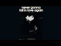 Eric Carmen - Never Gonna Fall In Love Again [30 minutes Non-Stop Loop]