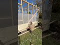 Производство бытовки по этапам | Каркас, утепление, обшивка #бытовки #стройка #дача