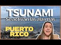 Así suenan las alarmas de tsunami en Puerto Rico🇵🇷/Mi entrevista en Radio y Darita en el veterinario