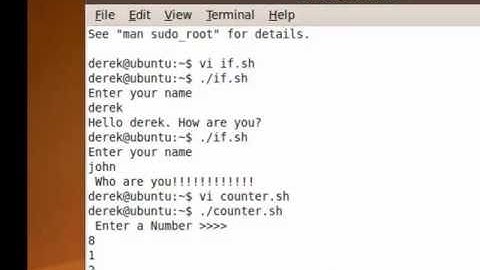 If statements and while loops in the command line