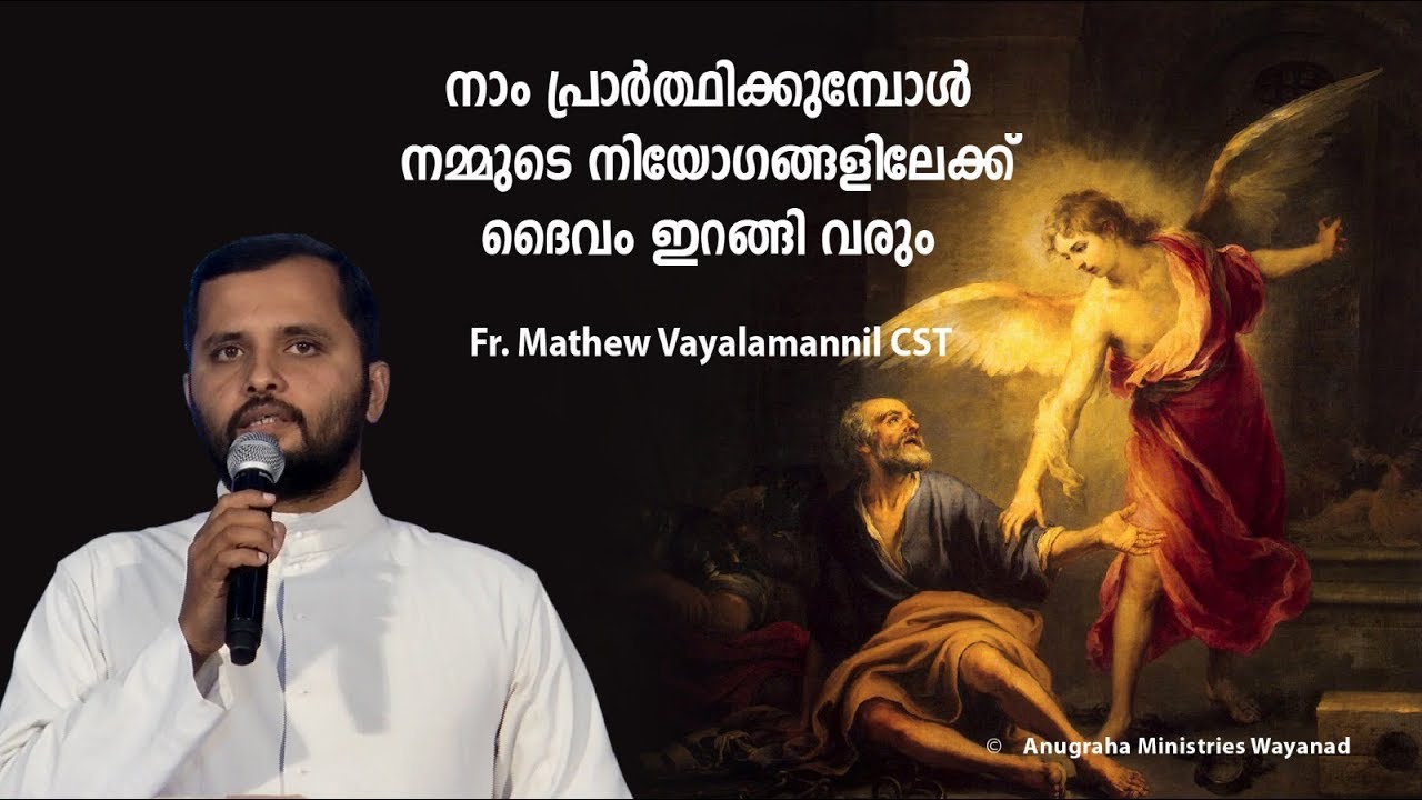 Fr.Mathew Vayalamannil CST
