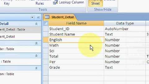 Free Learn Microsoft Access 2007 Urdu Video Course Class 11