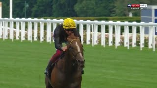 Stradivarius biggest ever win! 10 length romp in the 2020 Gold Cup!