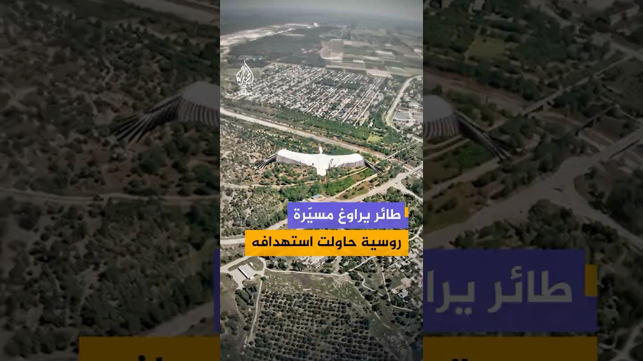 طائر لقلق ينجو من طائرة مسيرة روسية حاولت استهدافه بعد الاشتباه بأنه "مسيرة استطلاع أوكرانية"