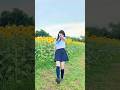 【ひまわり畑で踊ってみた🌻】少女レイ / みきとP feat.初音ミク【神綺杏菜】#Shorts