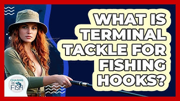 What Is Terminal Tackle For Fishing Hooks? - Chasing Big Fish