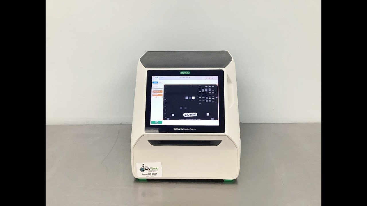 Bio Rad GelDoc Go Imaging System Video ID 31606 - YouTube