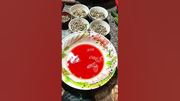 cách hãm tiết canh vịt từ 1,5kg tới 4kg đơn giản ai cũng làm được #maicồquán #amthuc #mukbang