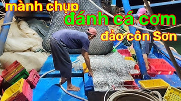 102) mành chụp đánh cá cơm đảo côn Sơn