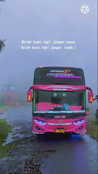 Pinky bus // #jetdarat // story wa // #bismania // #shorts