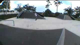 Throwaway-Case Howell Parktage