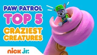 Top Five Countdown Of Crazy Creatures In Paw Patrols Adventure Bay Paw Patrol Nick Jr.