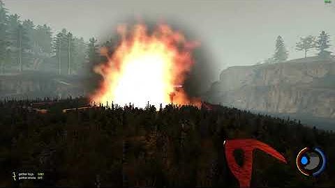 The Forest - Campfire Bug